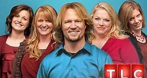 Sister Wives: Every Brown Revealed