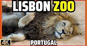 Lisbon Zoo 🦁Walking Tour With Ambient Sounds! Animals | Cable Car | Portugal [4K]