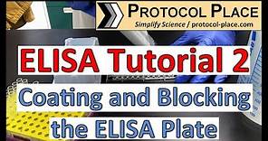 ELISA Tutorial 2: Coating and Blocking the ELISA Plate