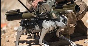 美海軍陸戰隊測試武裝機器狗，中國製造 - Mobile01