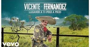 Vicente Fernández - Llegando a Ti (Video Lyrics)