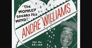 Andre Williams - "The Monkey Speaks His Mind"