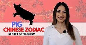 PIG Chinese Zodiac Sign - Everything You Need To Know!