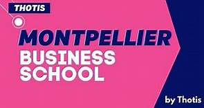 Montpellier Business School : Admission, programmes et débouchés - Thotis