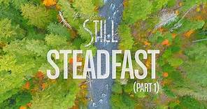 Michael W. Smith - Steadfast (Pt. 1) - 'STILL - Vol. 1'