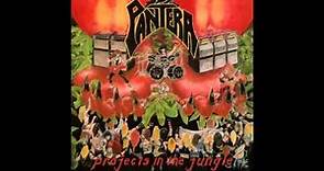 6) Projects in the Jungle - PanterA [Projects in the Jungle 1984]
