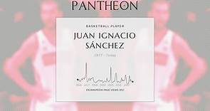 Juan Ignacio Sánchez Biography - Argentine basketball player (born 1977)