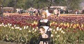 "The Tulip Film" - home movies from 1948-1950