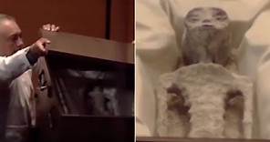 Messico, l'ufologo mostra due cadaveri alieni: il video impressionante