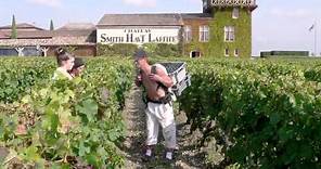 Château Smith Haut Lafitte - Insight into Bordeaux Wine Excellence