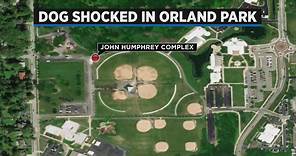 Dog shocked at baseball field in Orland Park