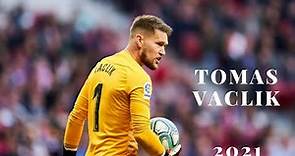 Tomas Vaclik 2022/2023 ► Best Saves and Highlights [HD]