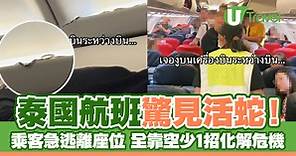 泰國航班驚見活蛇！乘客急逃離座位 全靠空少1招化解危機 | U Travel 旅遊資訊網站