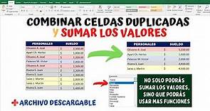 Como combinar CELDAS DUPLICADAS Y SUMAR LOS VALORES en Excel