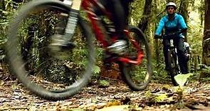 A local's guide to cycle trails in Waikato, NZ