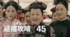 延禧攻略 45 | Story of Yanxi Palace 45（秦岚、聂远、佘诗曼、吴谨言等主演）