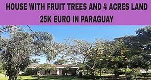 PARAGUAY HOUSE SOLD FOR 25000 EUROS WITH 4 ACRES LAND AND FRUIT TREES IN PARAGUAY