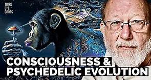 Consciousness, Spirituality & Stoned Ape Theory | Dr. Dennis McKenna