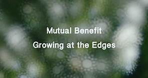 Mutual Benefit - Growing at the Edges (with visualizer)