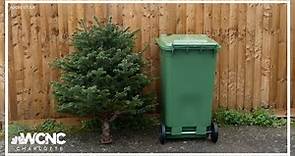 Here's how to properly dispose of your Christmas tree