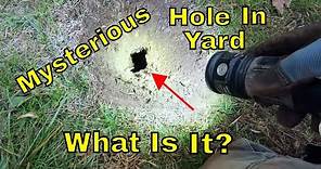Mysterious Hole In Yard: What Is It?