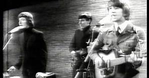 The Hollies Remember - Tony Hicks Plays "Look Through Any Window"
