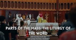 Parts of the Mass 4: The Liturgy of the Word- CtK Homilies