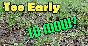 When To Mow New Grass From Seed + How Early Should You Cut The Lawn