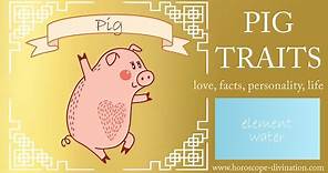 Chinese Zodiac Pig Personality ━ Pig Traits, Love & Feng Shui 豬