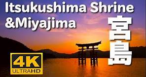 4K 宮島と厳島神社 ltsukushima Shrine Miyajima Hiroshima Trip Japan 広島 観光 旅行 宮島 安芸 観光名所 日本三景 大鳥居 瀬戸内海