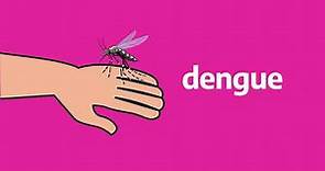 Campaña de prevención del dengue
