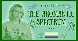 What Does Aromantic Mean? | a Guide to the Aromantic Spectrum