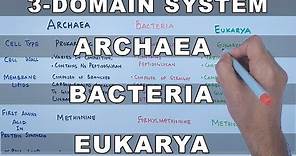 Archaea , Bacteria , Eukarya