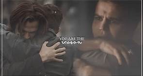 Winchester & Salvatore Brothers || You are the reason