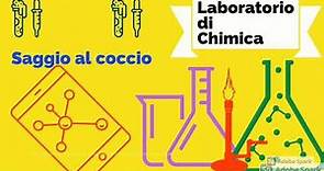 Laboratorio di chimica: saggio al coccio (parte 1)