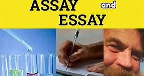🔵 Assay Essay - Assay Meaning - Essay Defined - Assay Examples
