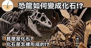 化石是怎樣形成？甚麼是化石？恐龍如何變成化石？(繁體中文字幕)