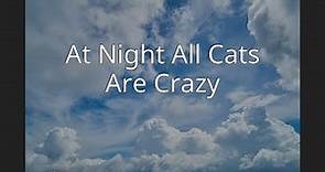 At Night All Cats Are Crazy