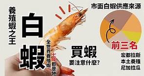白蝦是全世界養殖最多的蝦種，台灣白蝦供應狀況大解析，告訴你買蝦要注意的小常識