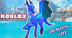 ROBLOX DRAGONS LIFE Animations UPDATE Family and Packs