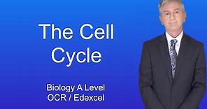 A Level Biology Revision "The Cell Cycle"