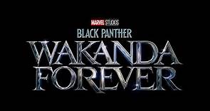 'Black Panther: Wakanda Forever': todo lo que sabemos