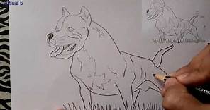 Como dibujar un PITBULL? | How to draw a PITBULL? |