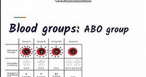 Blood grouping : ABO blood group system
