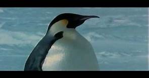 Farce Of The Penguins (2007)