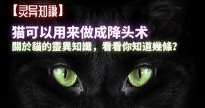 【灵异知识】猫也可以用来做成降头术！關於貓的靈異知識，看看你知道幾條？