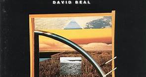 Michael Shrieve / David Beal - The Big Picture