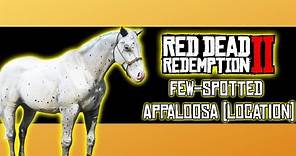 Few Spotted Appaloosa Wild Horse Location - Red Dead Redemption 2