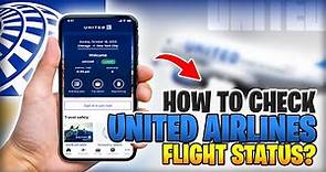 How To Check United Airlines Flight Status?