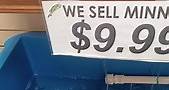Minnows for sale!!! - Bronson & Bronson
